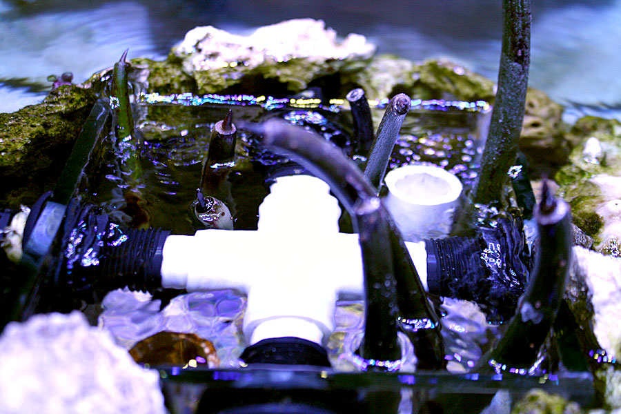 Mangroves - Rosebud161616's 15 gallon custom built nano