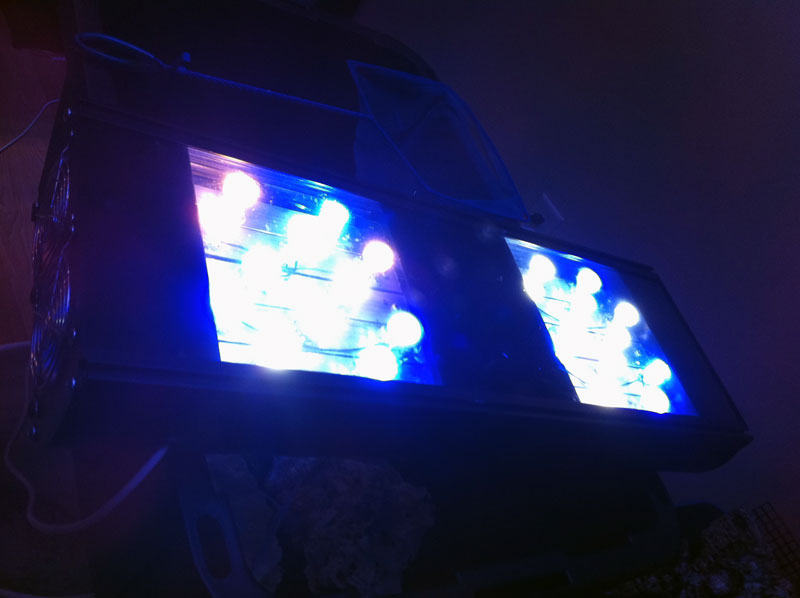 moms light - New Tank!